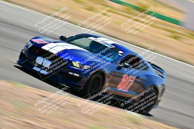 media/May-10-2025-Cobra Club (Sat) [[7b9c5022b1]]/Passenger/